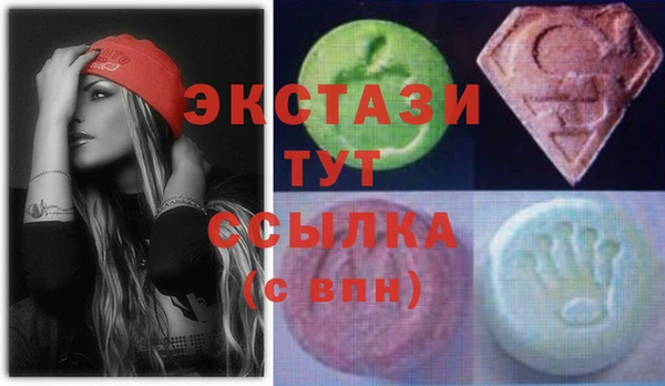 индика Алексин