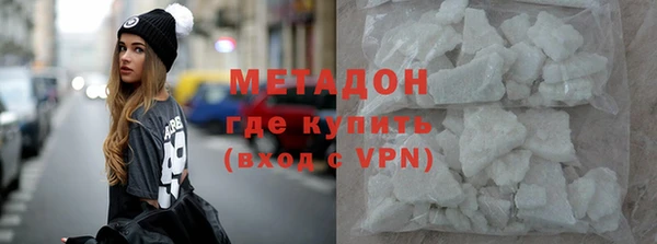 индика Алексин