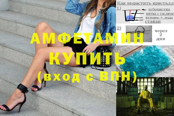 индика Алексин