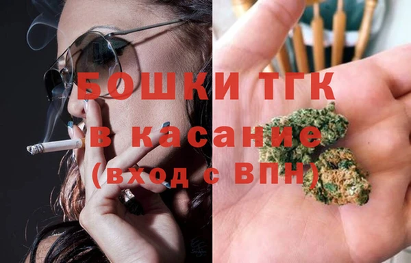 индика Алексин