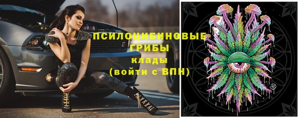 индика Алексин