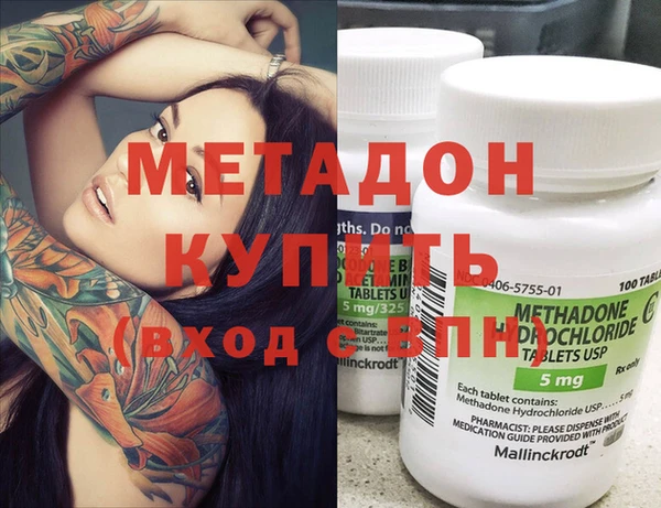 индика Алексин