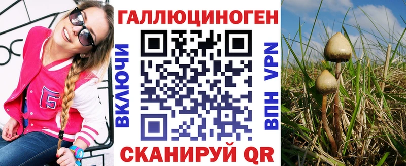 где продают наркотики  omg маркетплейс  Псилоцибиновые грибы GOLDEN TEACHER  Тейково 