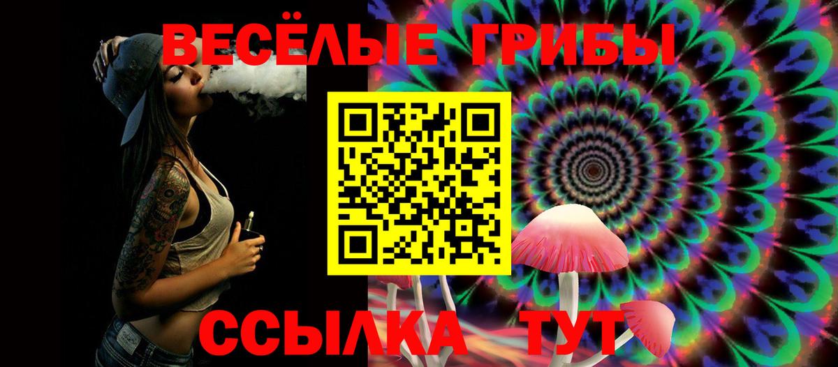 хочу   Вход с VPN  Тейково  Галлюциногенные грибы GOLDEN TEACHER 