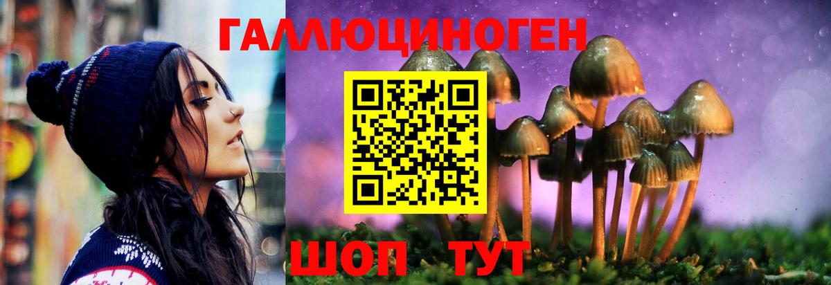 Псилоцибиновые грибы Magic Shrooms Тейково